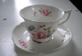 Shrewsbury Royal Cauldon Tea Cup